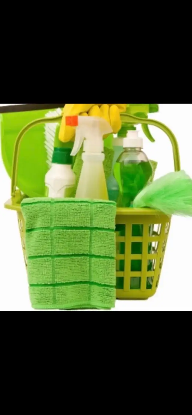 Experienced and High-Quality Housekeeper!590081419840727041
