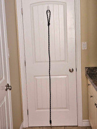 HIGH QUALITY NEW DOG LEASH RETAILS FOR 48 DOLLARS