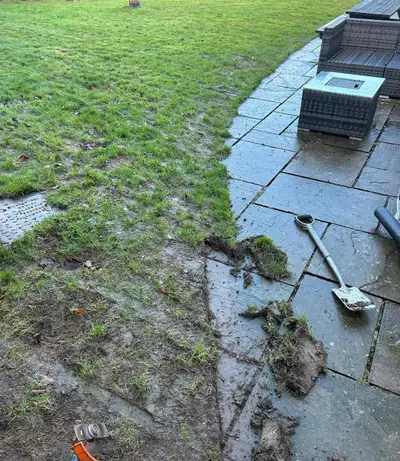 Lawn mowing and edging - Yard cleanup and debris removal - Weeding and pruning - Fertilization and l...