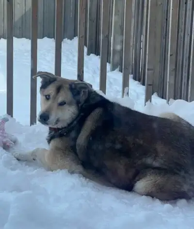 Free to good home, View more