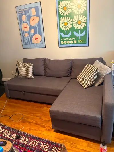 Perfect Pull-out couch, View more
