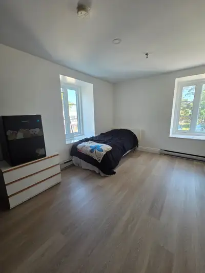 Studios tout inclus disponibles dans un immeuble propre et bien situé à Saint-Nicolas. Ce qui est in...