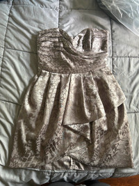 Short Silver Dress