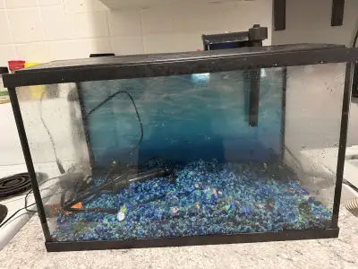 10 Gallon Aquarium - Top Fin, View more