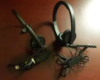 PLANTRONICS (left headset in photo) $40 LOGITECH (right headset in photo) $30