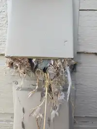 Dryer vent cleaning 