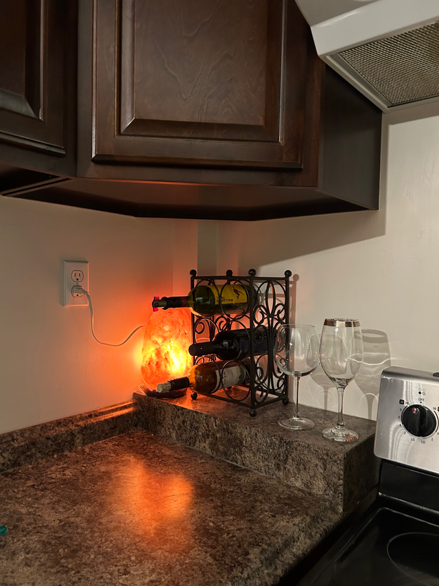 SEPTEMBER 1ST: Furnished uptown Junior one-bedroom, to call home in Long Term Rentals in Saint John - Image 7