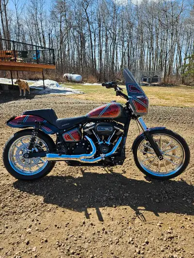 Looking to sell my 2019 softail dyna tail to many bikes this one doesn't get ridden often Kruesi dyn...