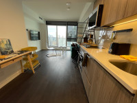 Toronto 1 Bed Condo - Furnished - Lease