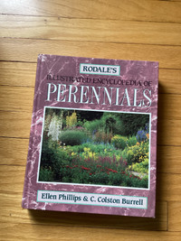 ✅Perennials