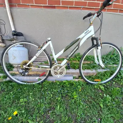 NAKAMURA LIBERTY HYBRID bike. Unisex style, matching rims. Price slightly negotiable. I forgot to pu...