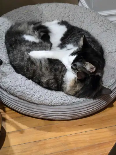 Bonded Pair , View more