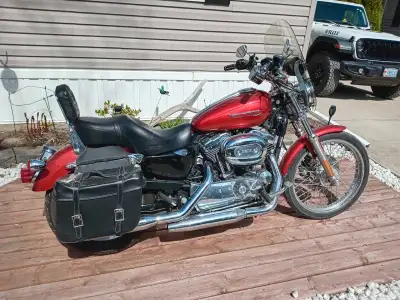 2008 Harley Davidson Sportster 1200 Custom. Detachable saddle bags and windscreen. HD cruiser seat....