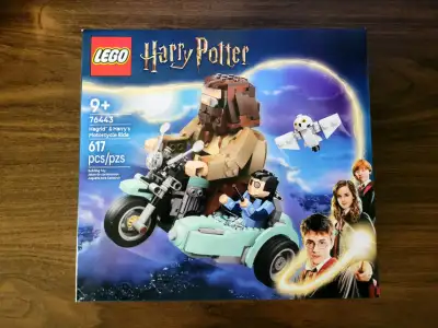 LEGO Harry Potter Hagrid & Harry’s Motorcycle Ride (76443), View more