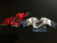 Mini NHL Jerseys  $ 9