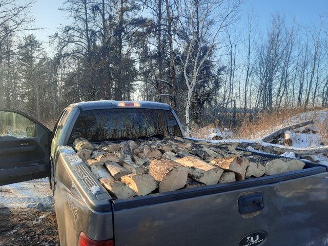 Firewood for sale in Fireplace & Firewood in Prince Albert