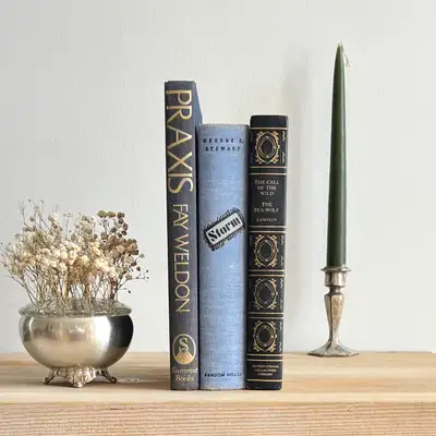 3) Old Books Vintage, View more
