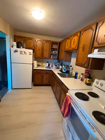 77 Brybeck Cres, Kitchener 1 Bedroom apartment all inclusive