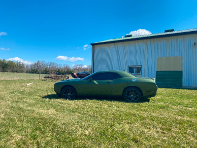 2018 F8 Green Dodge Challenger R/T