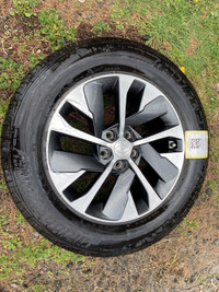 Palisade - Hyundai / KIA - 18 inch new mags and tires TPMS