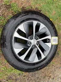 Palisade - Hyundai / KIA - 18 inch new mags and tires TPMS