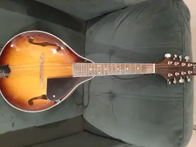 For Sale:          1.  Mandolin, View more
