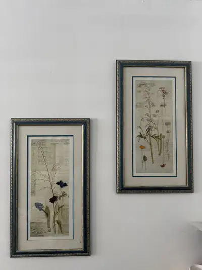 Framed Botanical Prints, View more