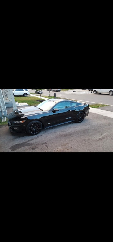 Auto and motorcycles  detailing and sales in Cars & Trucks in Brantford - Image 3