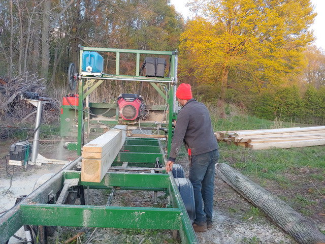 Large capacity sawmill service in Hobbies & Crafts in St. Catharines - Image 4