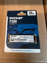 Patriot P300 256 GB Neuf