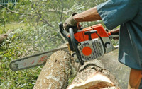 Property maintenance, Snow removal, gutter cleaning, tree remova