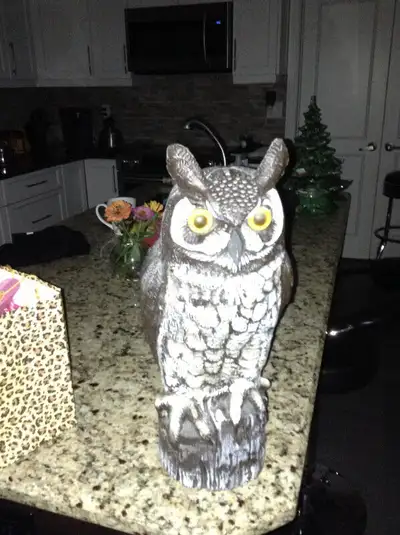 Vintage blow mold owl for sale, View more