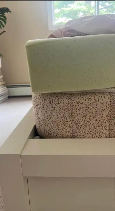 free twin mattress and topper, View more