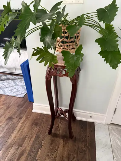 Plant Stand, View more
