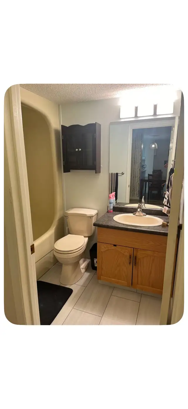 Downtown 1 Bedroom Condo for Rent for Dec 1 | Long Term Rentals ...