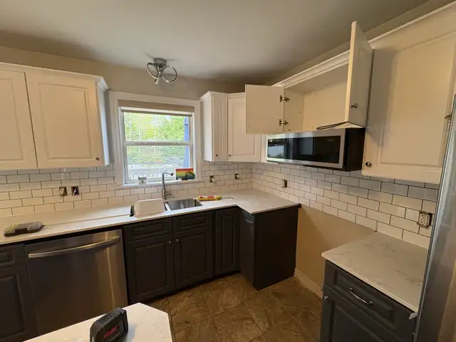 Handyman/Carpenter450665885142231041