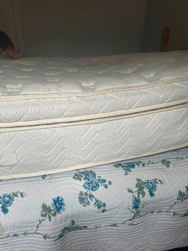 Queen size pillow top  mattress in Beds & Mattresses in Bedford - Image 2