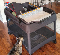 Playard with bassinet