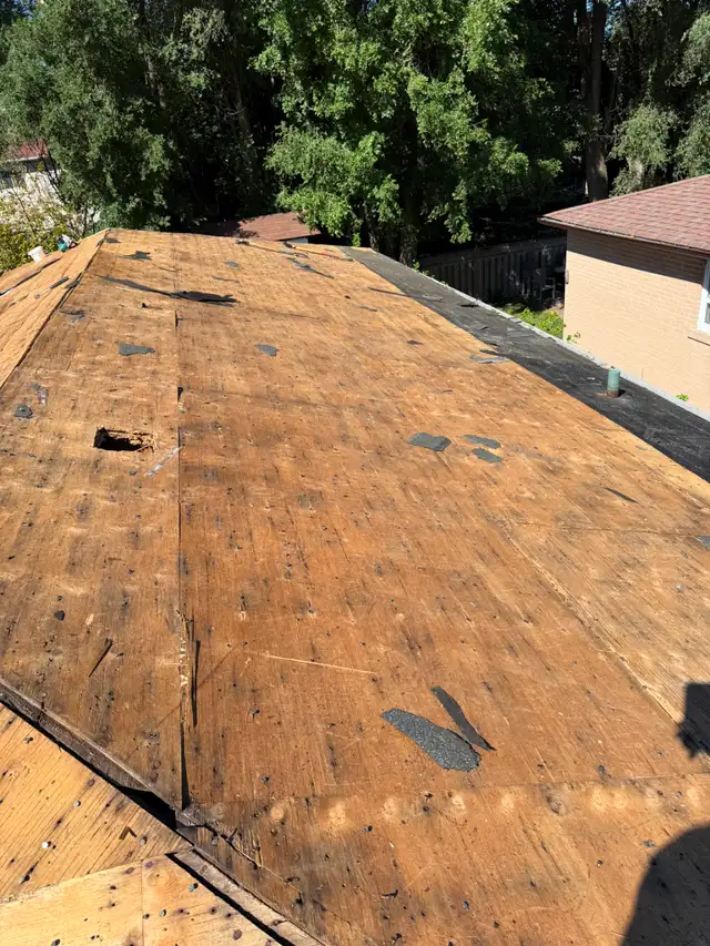 TOP ROOFING - RELIABLE. AFFORDABLE. EXPERIENCED.532562274336133121