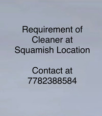Required Cleaner