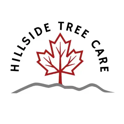 Tree Service, View more