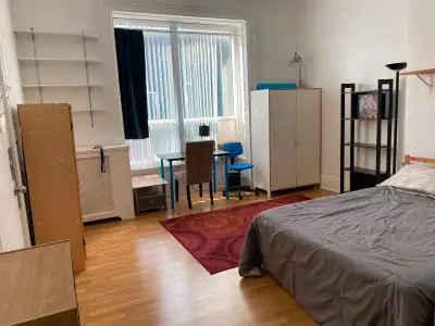 DELIGHTFUL STUDIO CONCORDIA / MCGILL DOWNTOWN