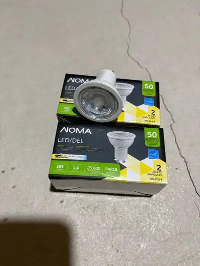 Light Bulbs, View more