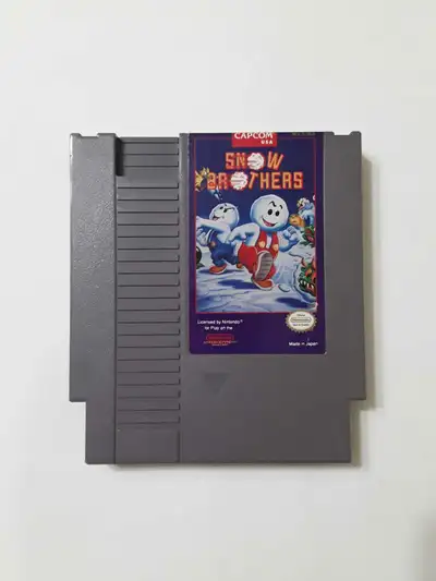 Snow Brothers (NES), View more