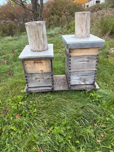 Bee Hives , View more