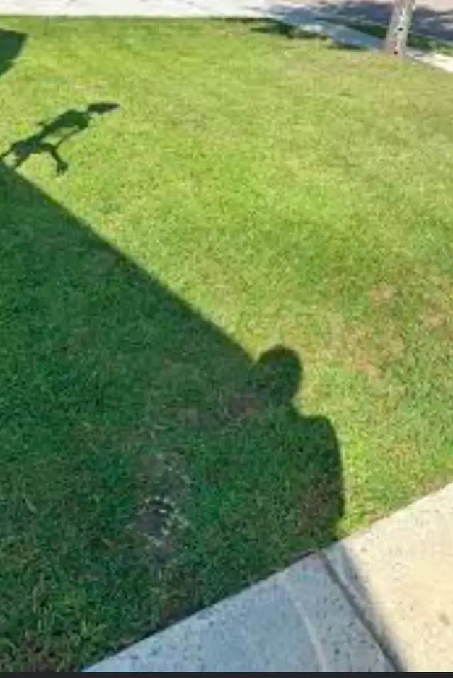 Grass cutting, pulling weeds and raking leaves