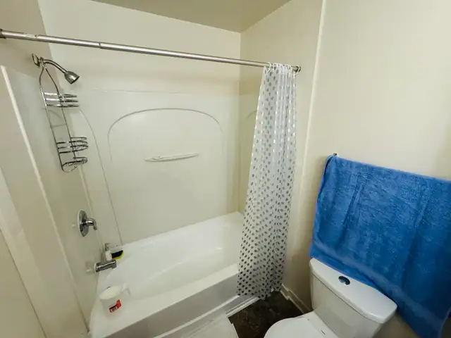 Private Rooms for Rent in Downtown Ottawa in Room Rentals & Roommates in Ottawa - Image 5