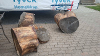 Free maple logs