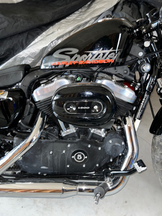 Harley Davidson Sportster  in Sport Touring in Oshawa / Durham Region - Image 3