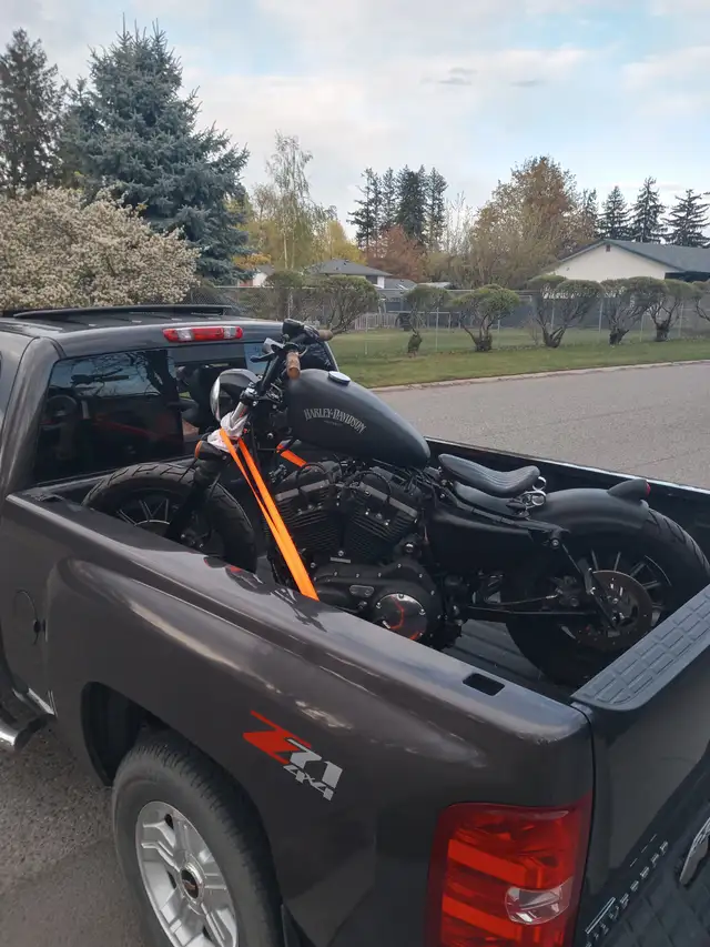 2013 Harley - Davidson sportster 883 in Street, Cruisers & Choppers in Kamloops - Image 6